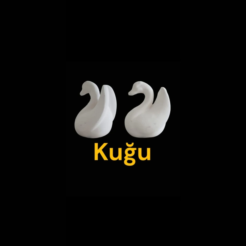 Kuğu Alçı Kalıbı