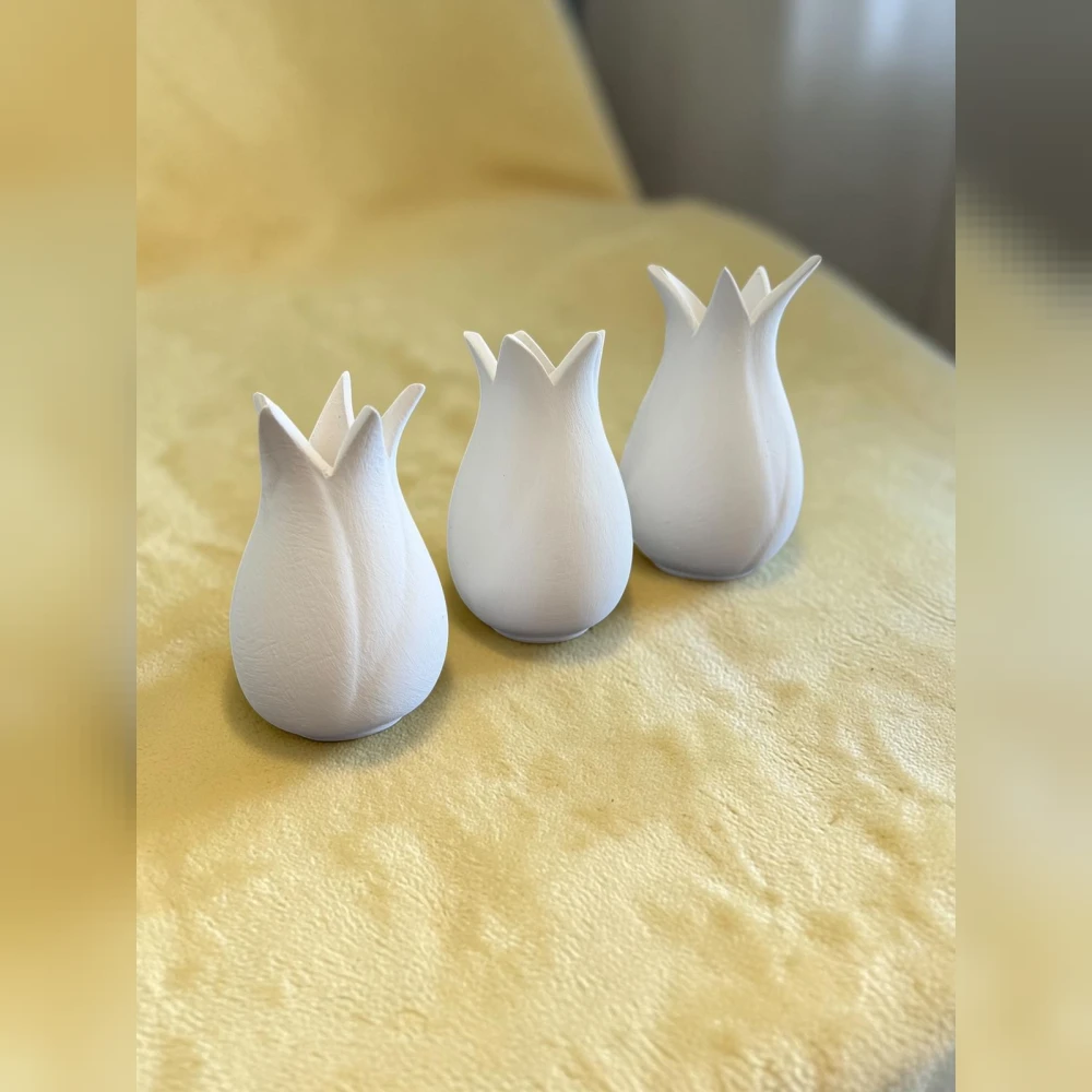Lale Vazo 3'lü Set Çini Bisküvi