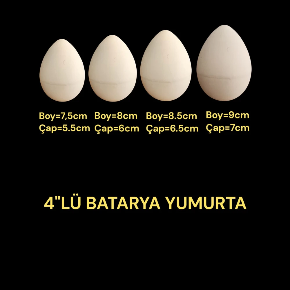 Tavuk Yumurtalık Alçı Kalıbı