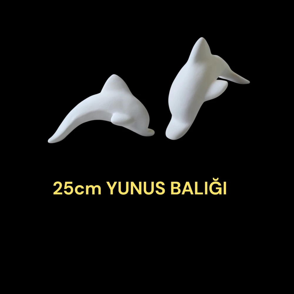 Yunus Alçı Kalıbı